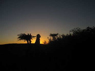 We shall meet under the sun